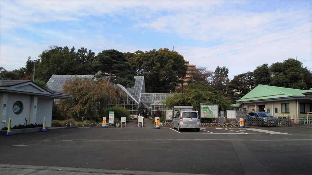 小平 東京都薬用植物園で危険な植物を合法的に観察 街のイイところ